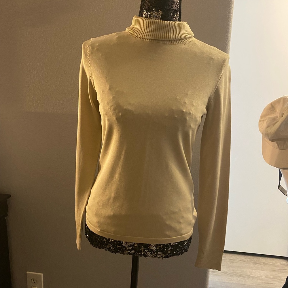 Ann Taylor Turtleneck Sweatee